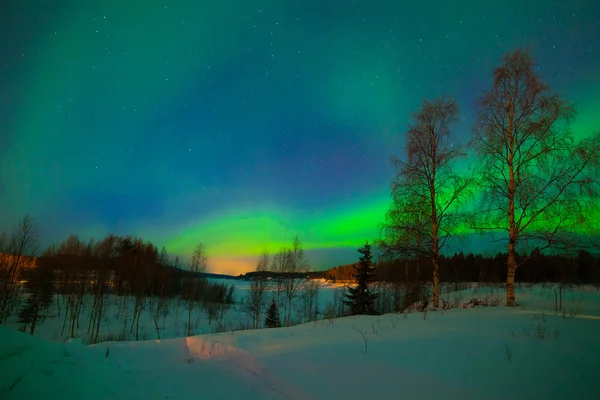 Northern lights