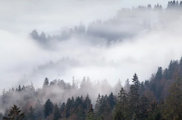Dense fog in mountains, Alps