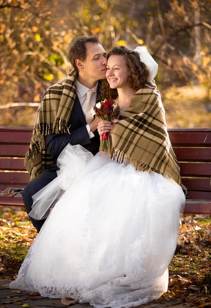 Newlyweds kissing on bench at autumn park under woolen plaid