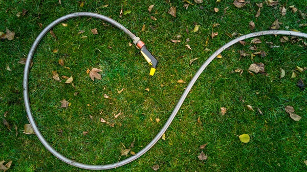 Garden hose lying on grass covered with leaves