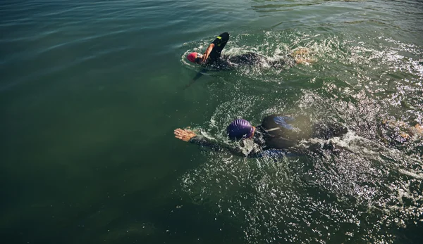 Athletes practicing swimming for triathlon race