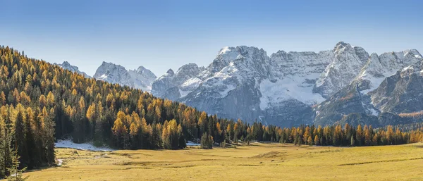 Autumn Landscape with Trees and Mountain