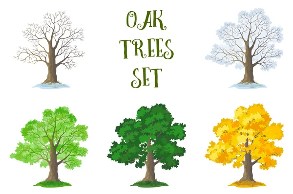 Oak Trees Set, Seasons