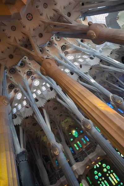 BARCELONA, SPAIN - AUGUST 27, 2014: Vaulted ceiling and columns of La Sagrada Familia - the impressive cathedral designed by Antonio Gaudi