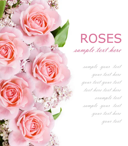 Wedding background with pink roses and lilac flowers isolated on white with sample text