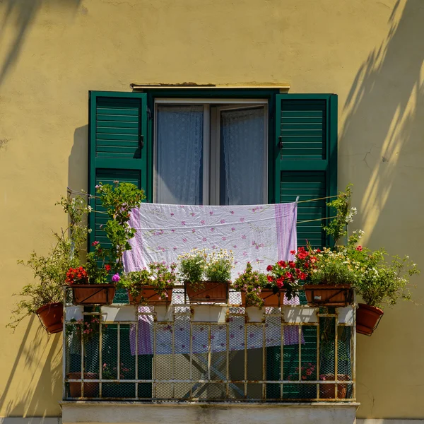 A balcony with pots and laundry, Salerno.