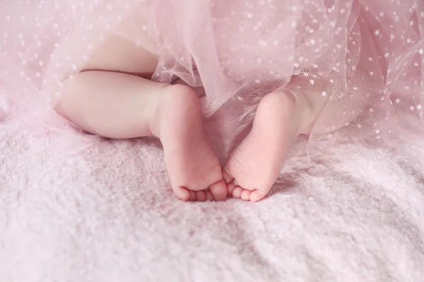 Closeup of newborn baby feet girl against soft pink blanket back
