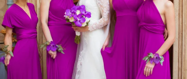 Bride with Bridesmaids in purple dresses. Wedding. Background.