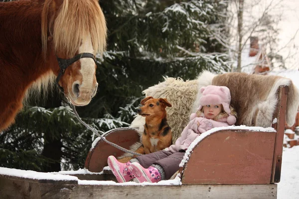Cute little girl sitting in the sledges with puppy and big palom