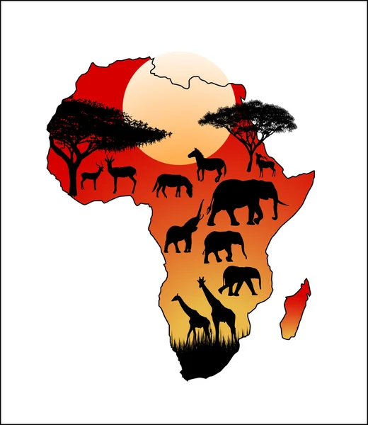 Africa wild animals