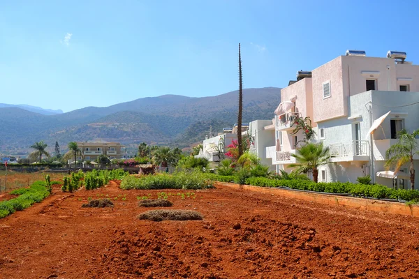 View of red arable land, Malia town and mountain.