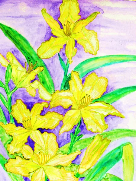 Yellow daily lilies