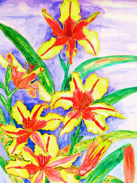 Red-yellow daily lilies