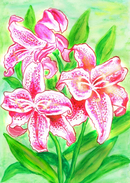 Pink lilies, painting