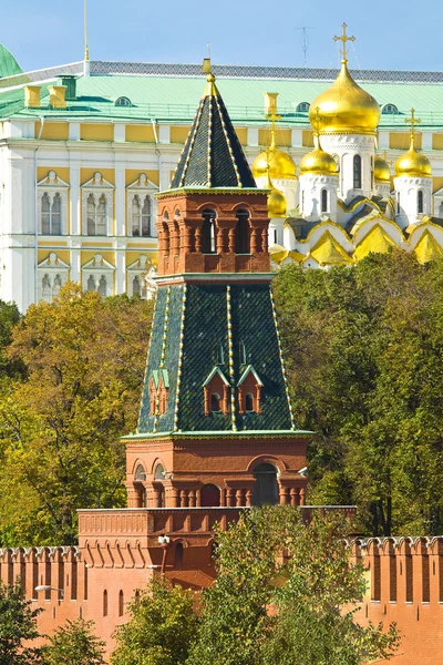 Moscow, Kremlin tower and Annunciation cathedral