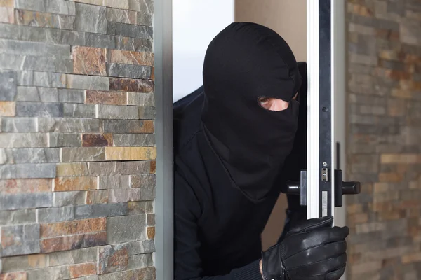 Home burglar