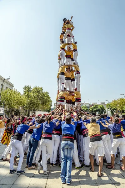 Castellers do a Castell or Human Tower, typical  in Catalonia.