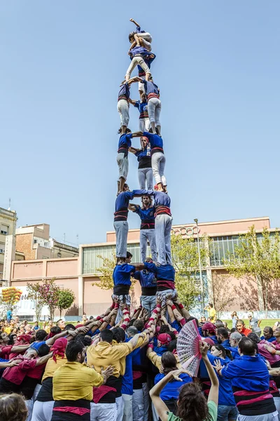 Castellers do a Castell or Human Tower, typical  in Catalonia.