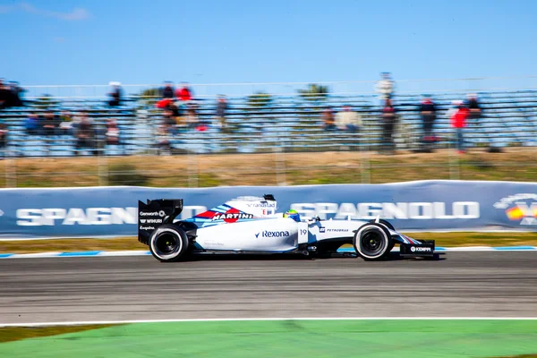 Williams Martini Racing F1 Team, Felipe Massa