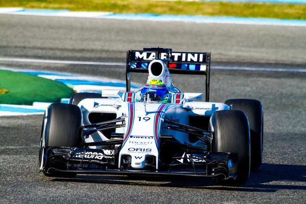 Team Williams F1 Felipe Massa