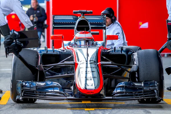 Team McLaren Honda F1