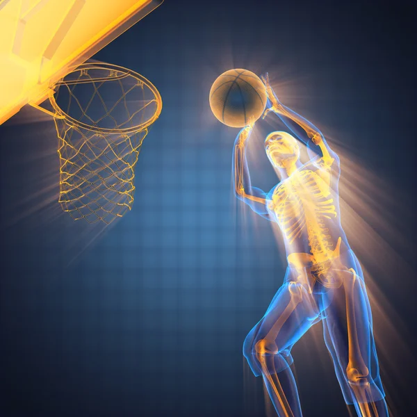 Basketball player bones radiography