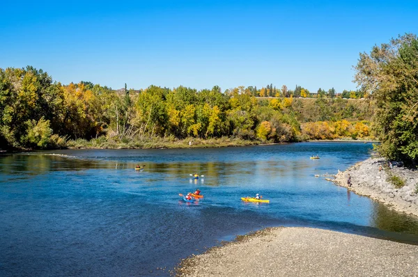 Kayakers on Bow River