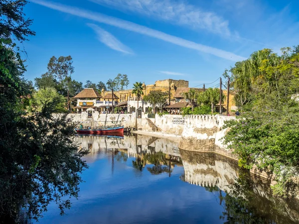 Animal Kingdom Theme Park at Disney World