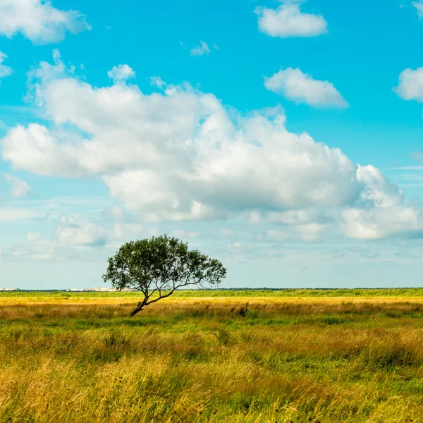 Natural Slowinski landscape