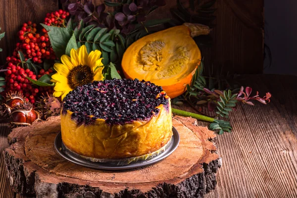 Pumpkin cheesecake with cranberries
