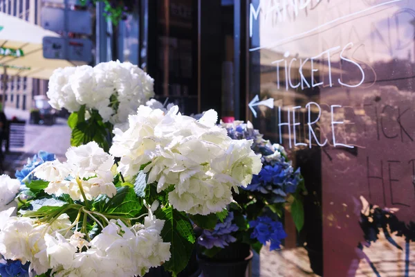 Ticket sales at the flower shop on a city street