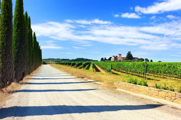 The road through the vineyards to the castle against the blue sk