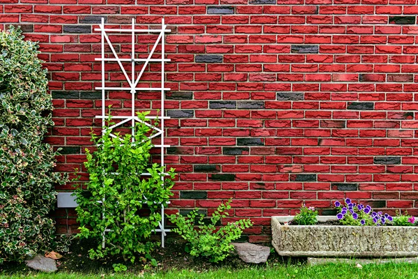 Red brick wall at back yard with green plants at home building decorated with tree, rocks, bushes and flower pot. Home decor and landscaping concept.