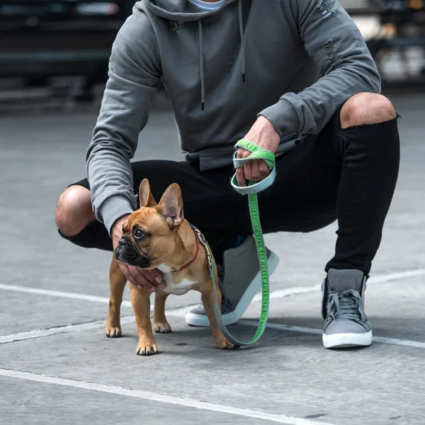 Man with his pet dog French Bulldog on lead in city