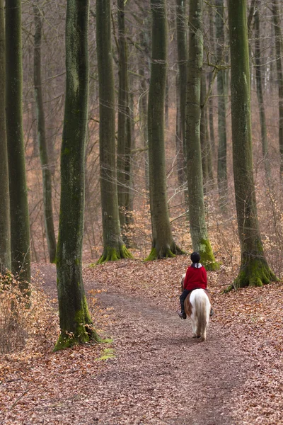 Girl with a horse in forest