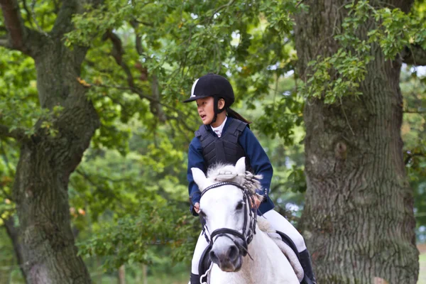 Girl ridding a white horse