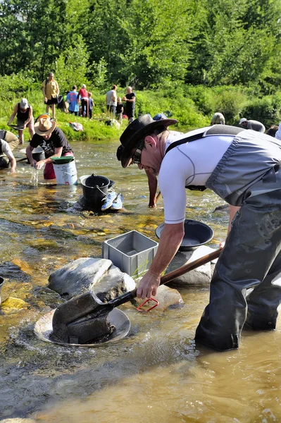 Gold prospectors in full competition