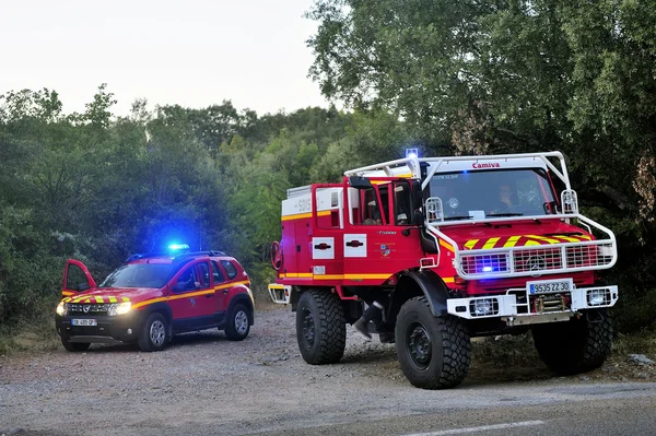 Fire trucks at the entrance of a forest road