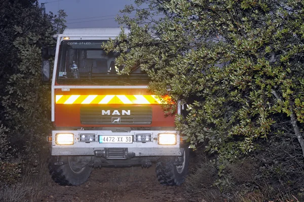 Fire trucks in a forest road