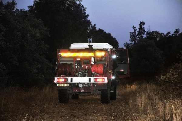 Fire trucks in a forest road