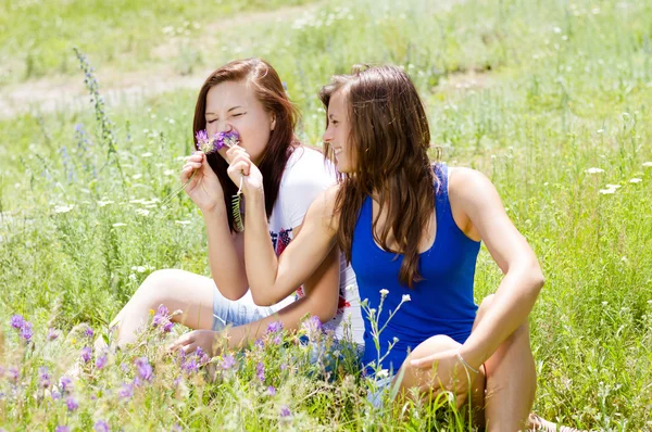 Two happy pretty friends playing with flowers in green grass
