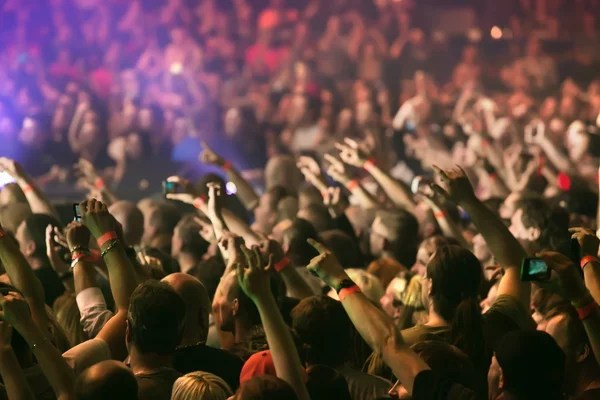 Crowd cheering and hands raised at a live music concert