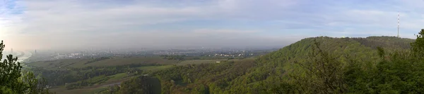 Scenic panorama of vienna with the suburbs and view to vineyards