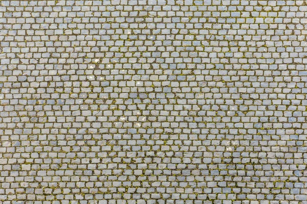 Stone pavement texture