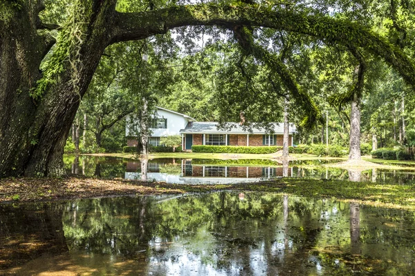 Villa in swamp area gives a harmonic mirroring picture in the wa