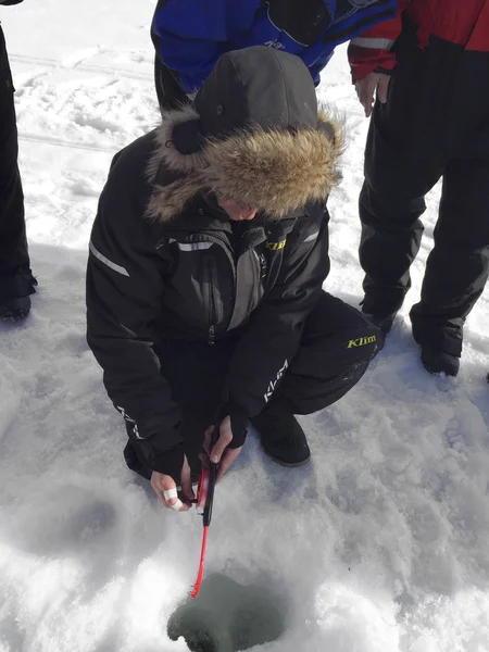 Tourists do ice fishing in Inari