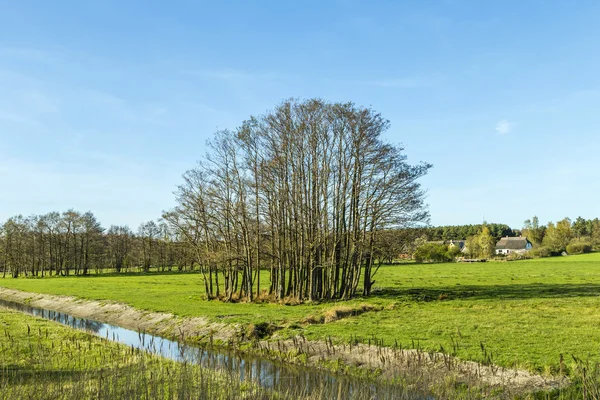 Rural landscape with fields and trees in Usedom