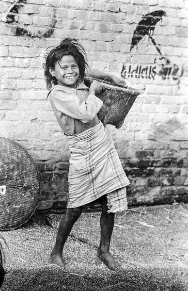 Young nepalese girl carries corn from threshing in her basket