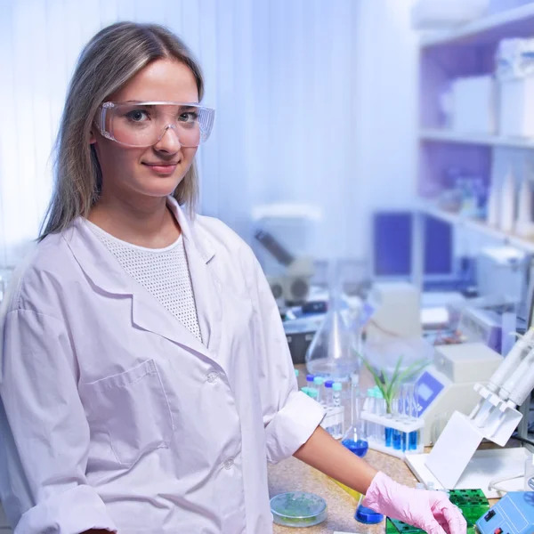 Scientist in chemical laboratory