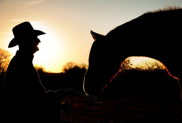 Silhouette of a man and his horse against sunset sky, with horse reaching towards man